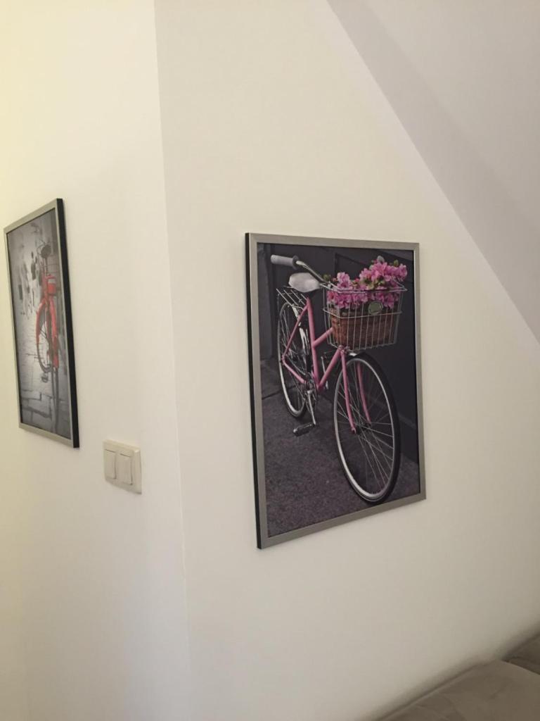 Ferienwohnung Siedlisko Kepina Zdroj Ostrow  Exterior foto